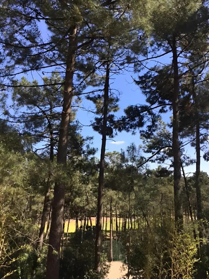 라카노오세앙 Un Nid Dans La Pinede 빌라 외부 사진